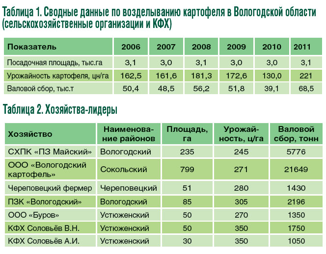 Сорта картофеля выращиваемые в вологодской области