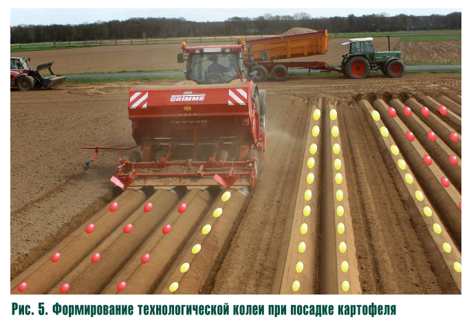 Новые технологии выращивания картофеля в промышленных масштабах 12